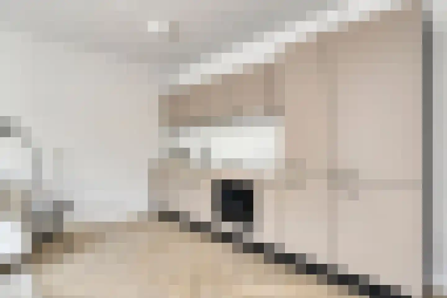 Brugweg 27 Velp thumbnail 14