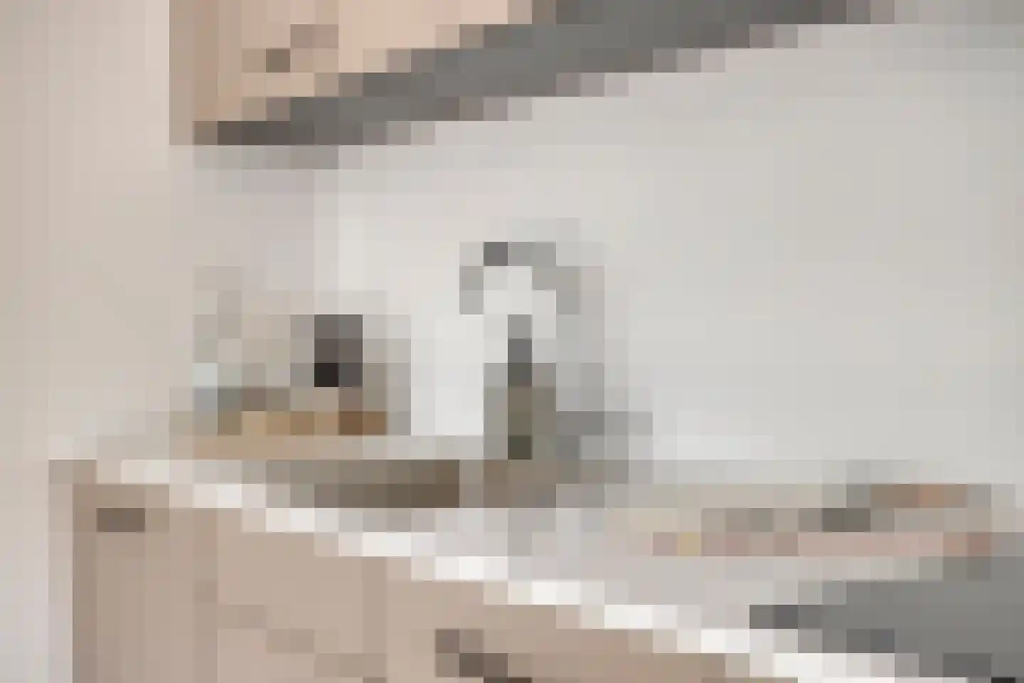 Brugweg 27 Velp thumbnail 16