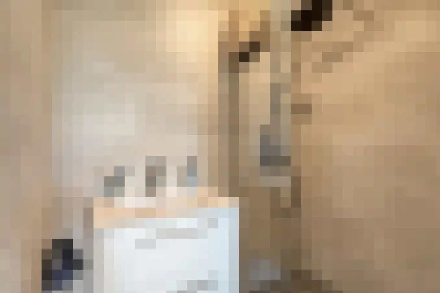 Brugweg 27 Velp thumbnail 23