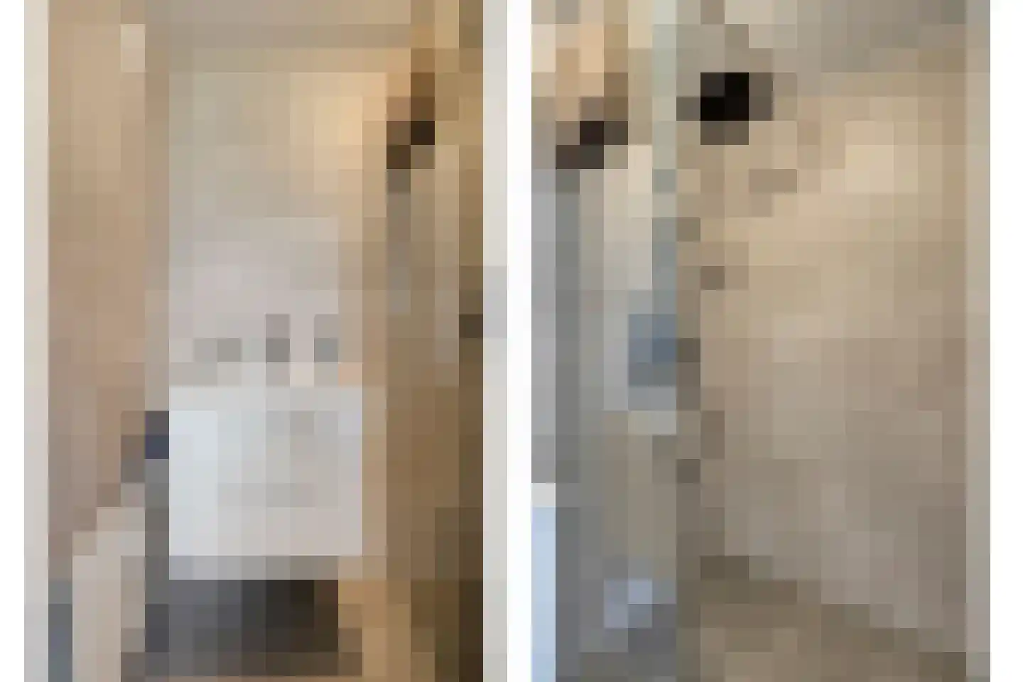 Brugweg 27 Velp thumbnail 24
