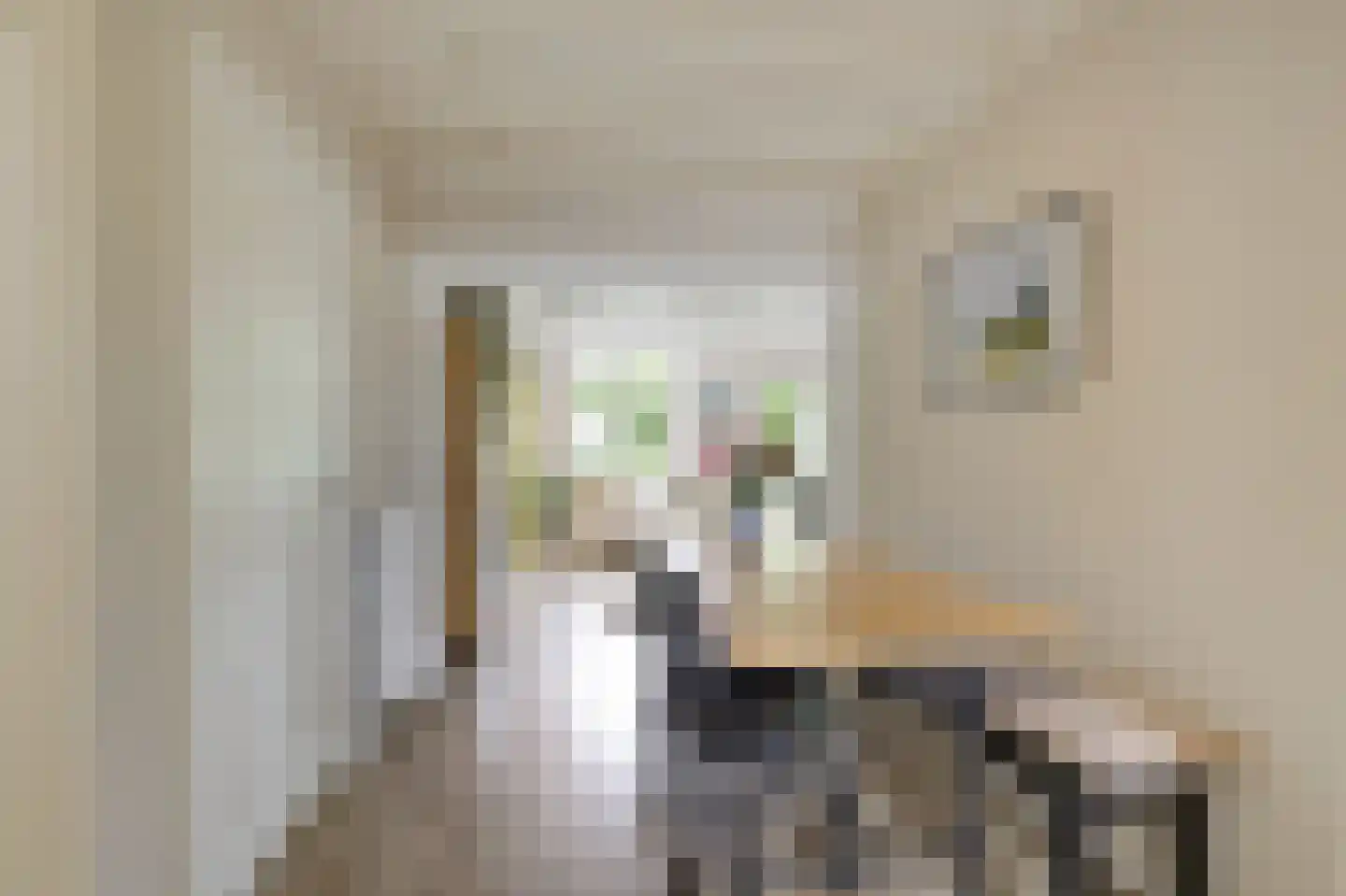Brugweg 3 Velp thumbnail 12