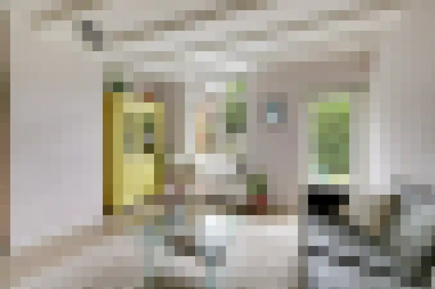 Brugweg 3 Velp thumbnail 13