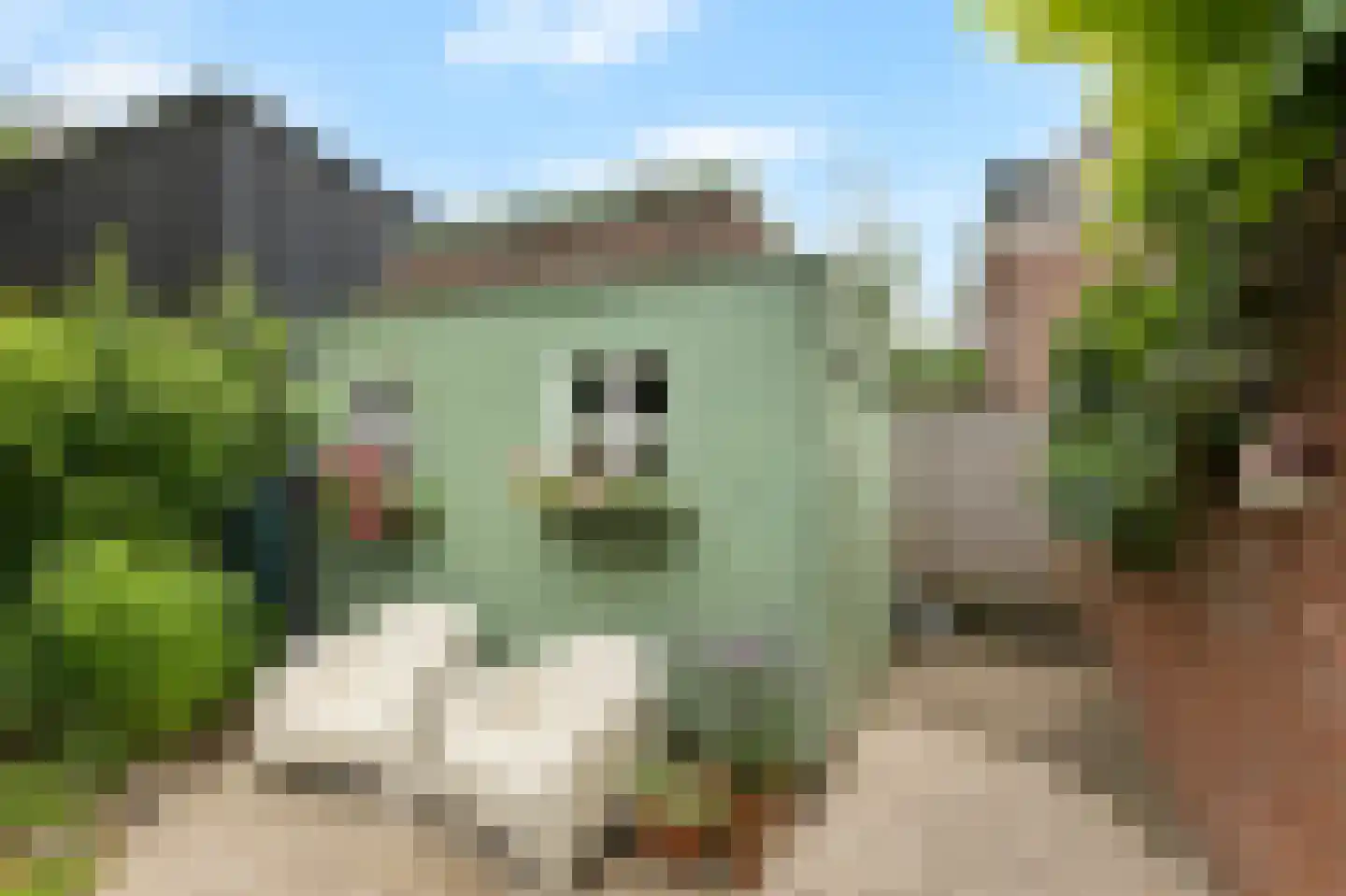Brugweg 3 Velp thumbnail 17