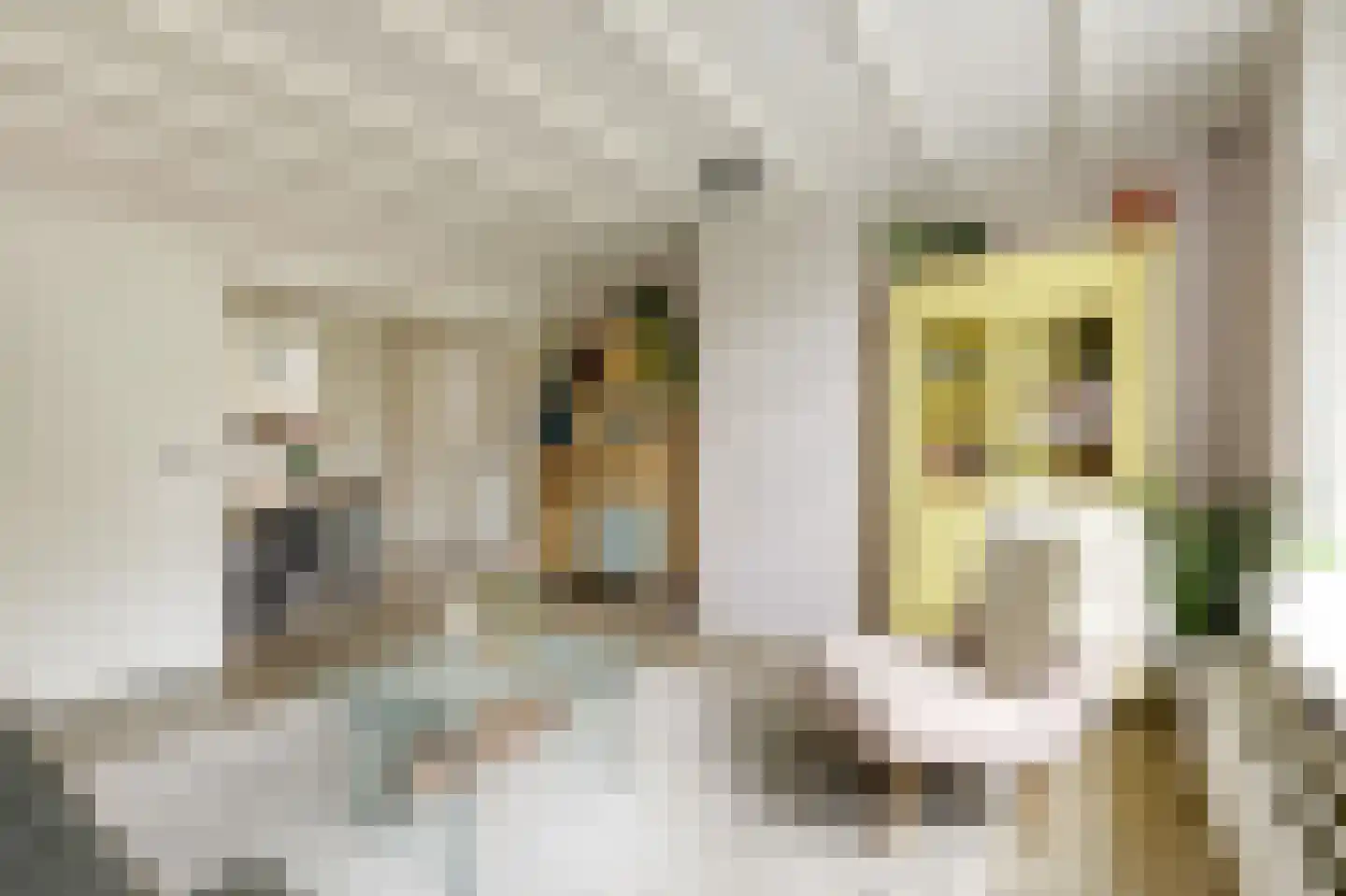 Brugweg 3 Velp thumbnail 21