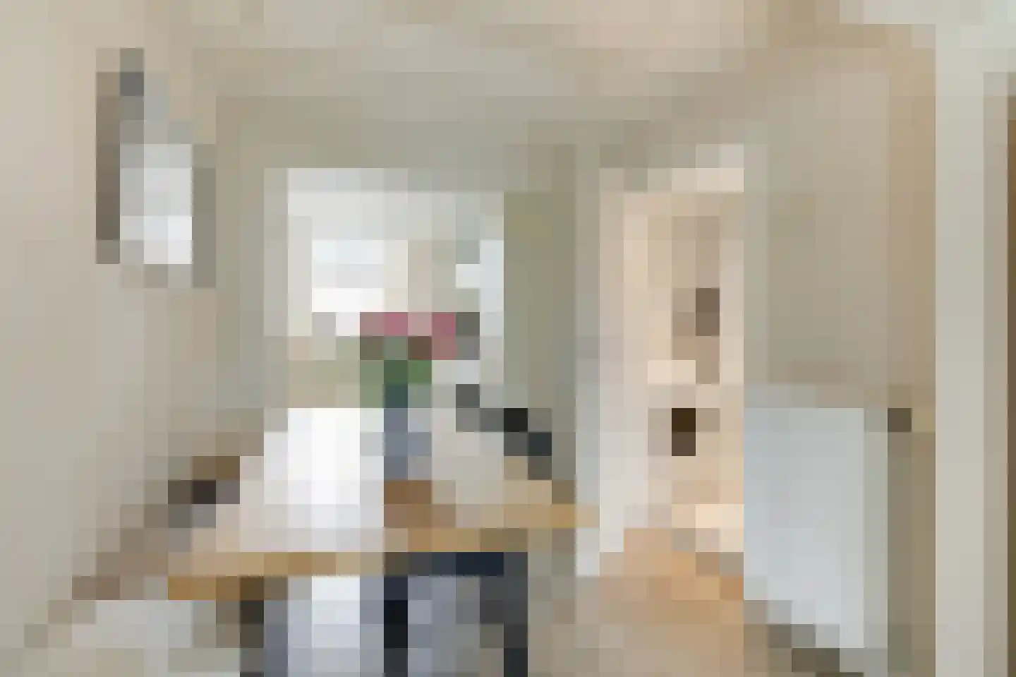 Brugweg 3 Velp thumbnail 23