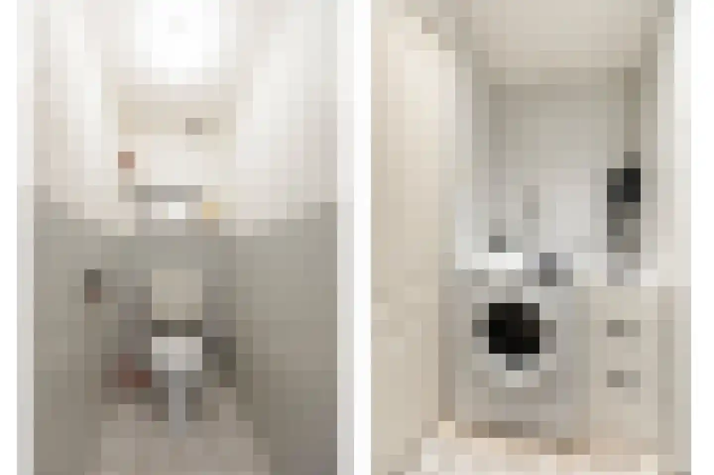 Brugweg 3 Velp thumbnail 24