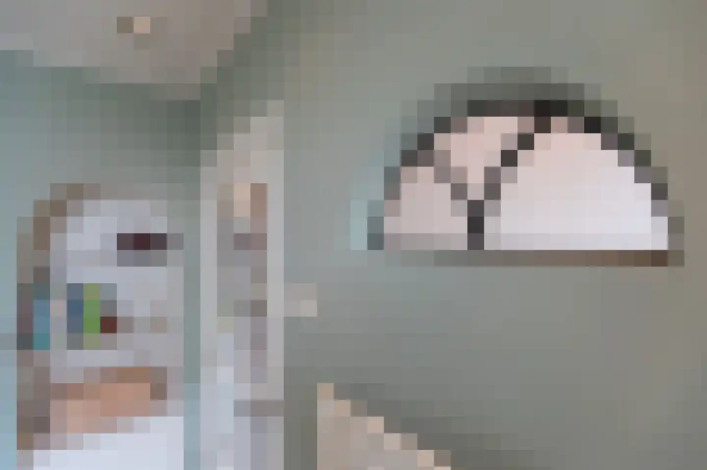 Brugweg 3 Velp thumbnail 26