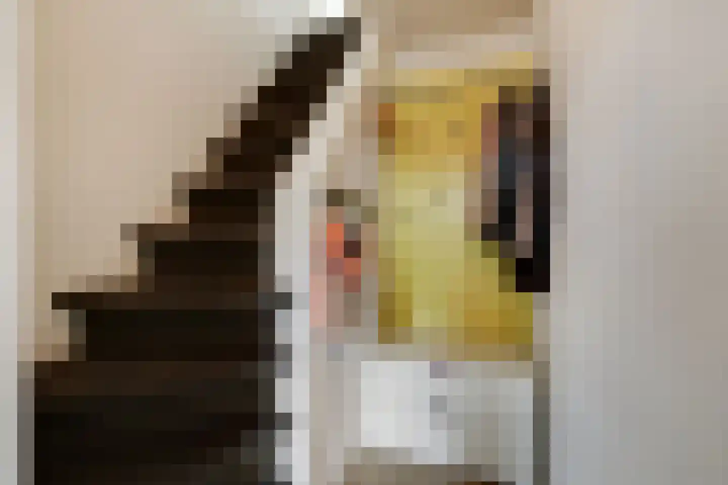 Brugweg 3 Velp thumbnail 27
