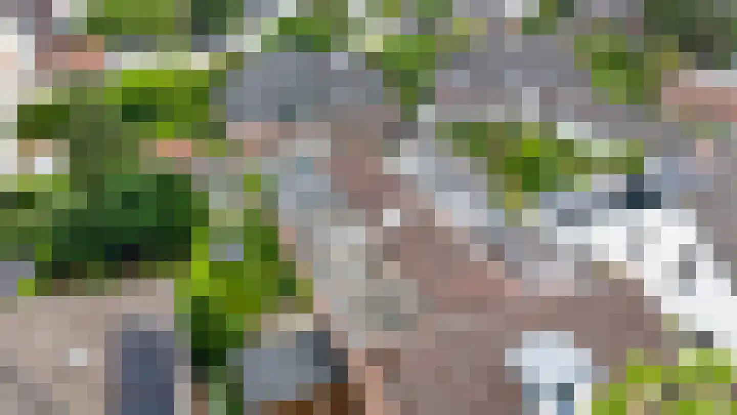Brugweg 3 Velp thumbnail 44