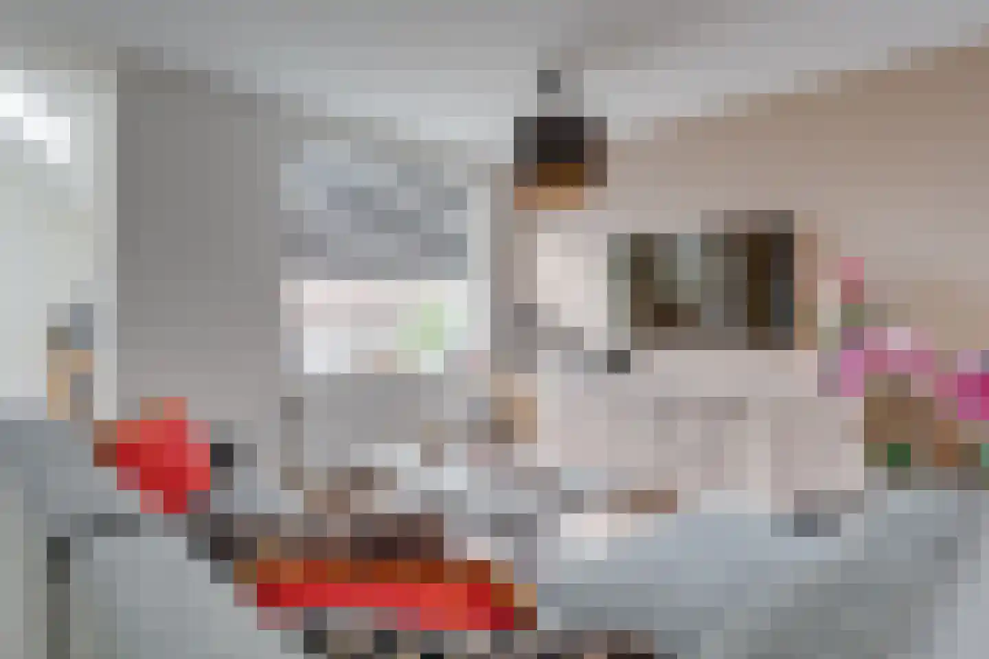 Brugweg 3 Waddinxveen thumbnail 11