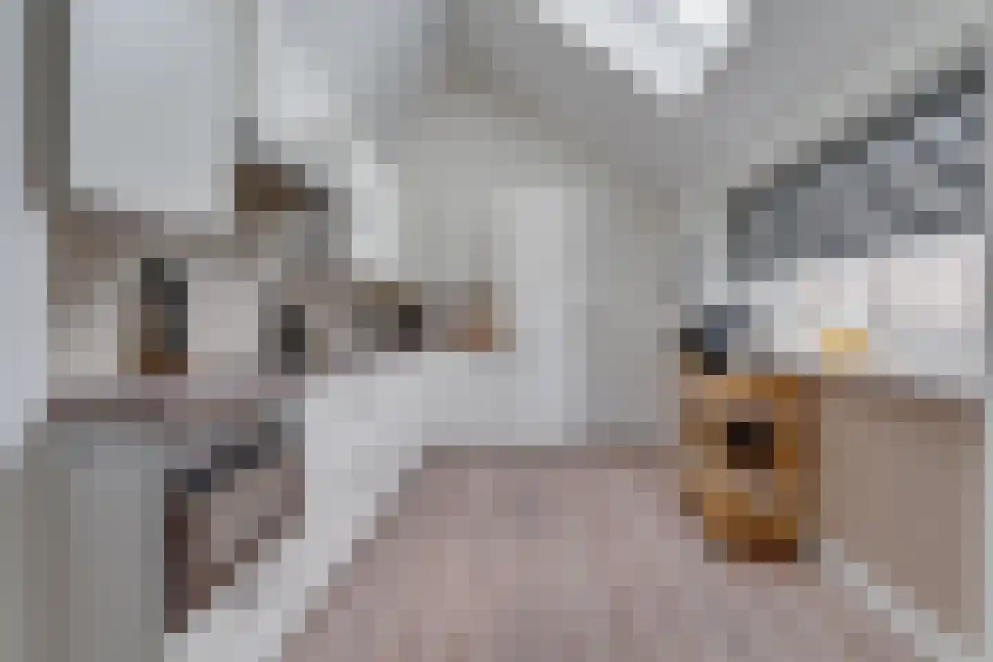Brugweg 3 Waddinxveen thumbnail 14
