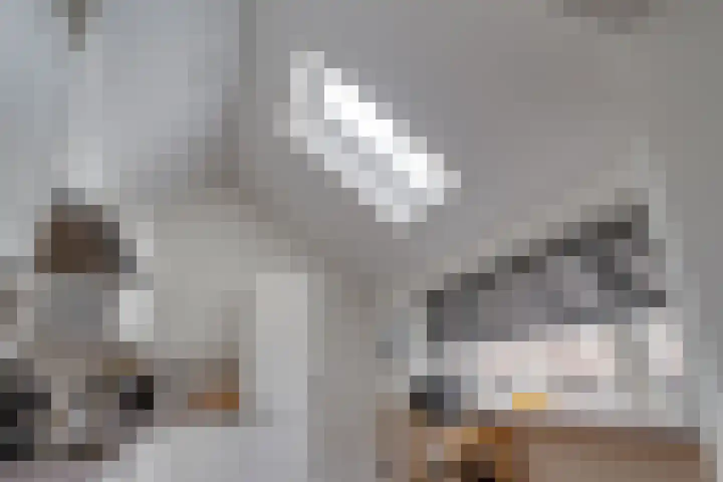 Brugweg 3 Waddinxveen thumbnail 15