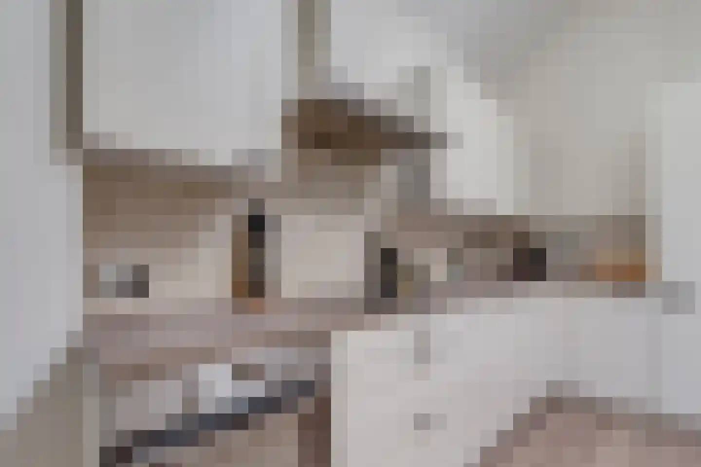 Brugweg 3 Waddinxveen thumbnail 16