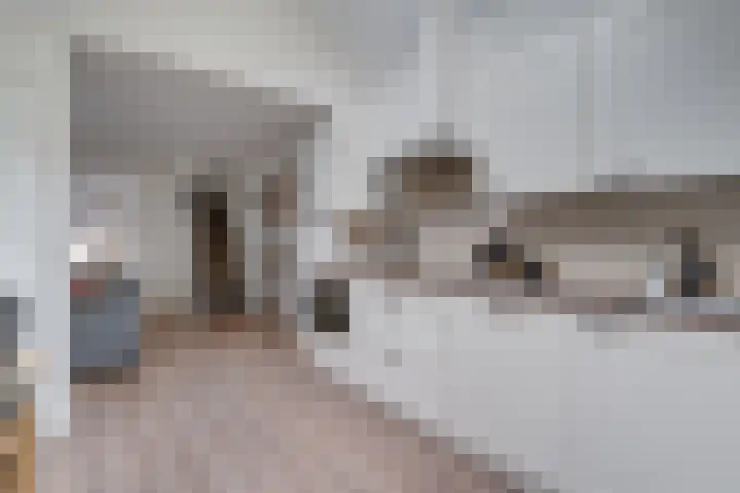 Brugweg 3 Waddinxveen thumbnail 17