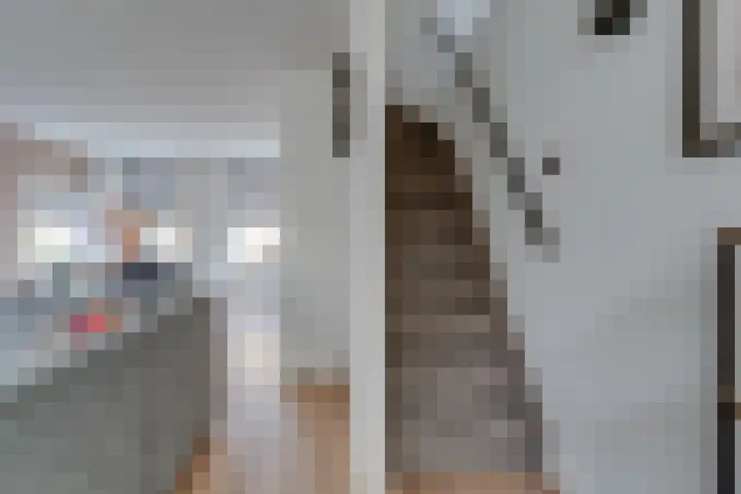 Brugweg 3 Waddinxveen thumbnail 18