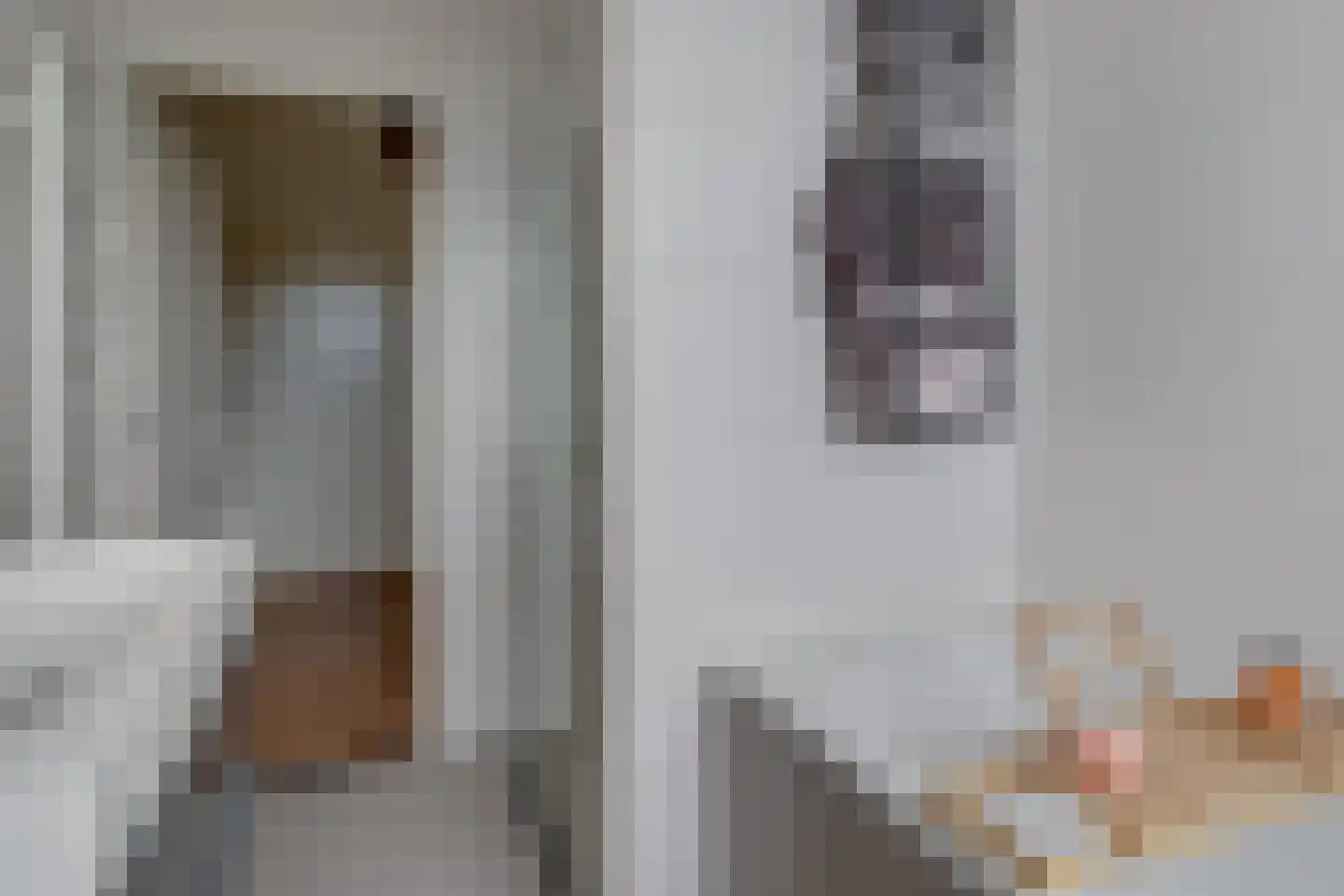 Brugweg 3 Waddinxveen thumbnail 28