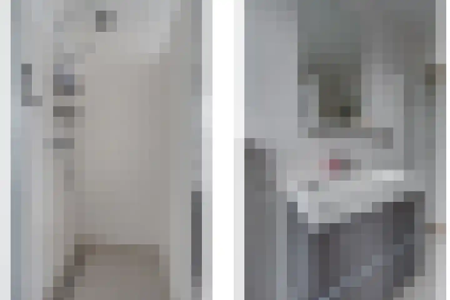 Brugweg 3 Waddinxveen thumbnail 29