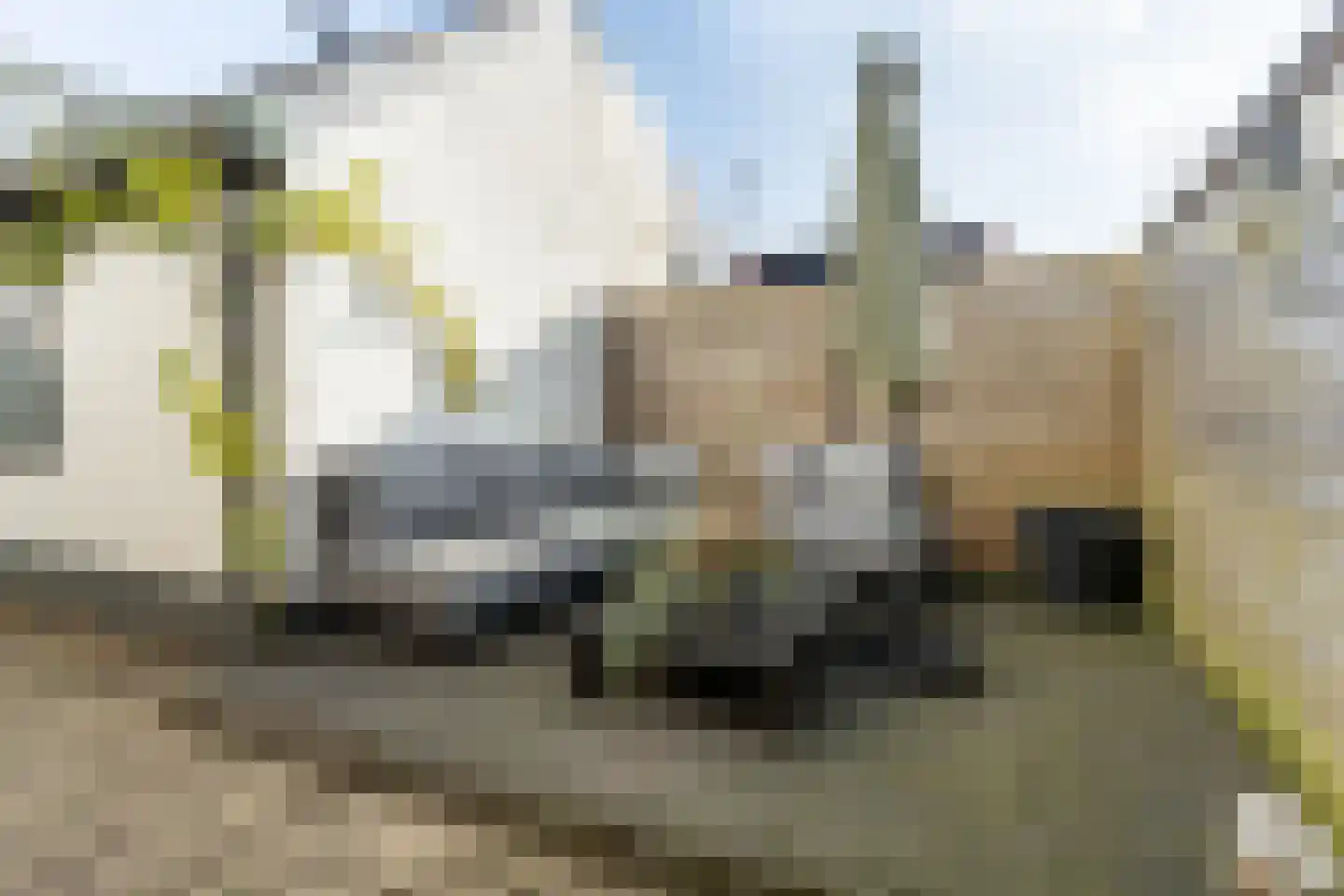 Brugweg 3 Waddinxveen thumbnail 32