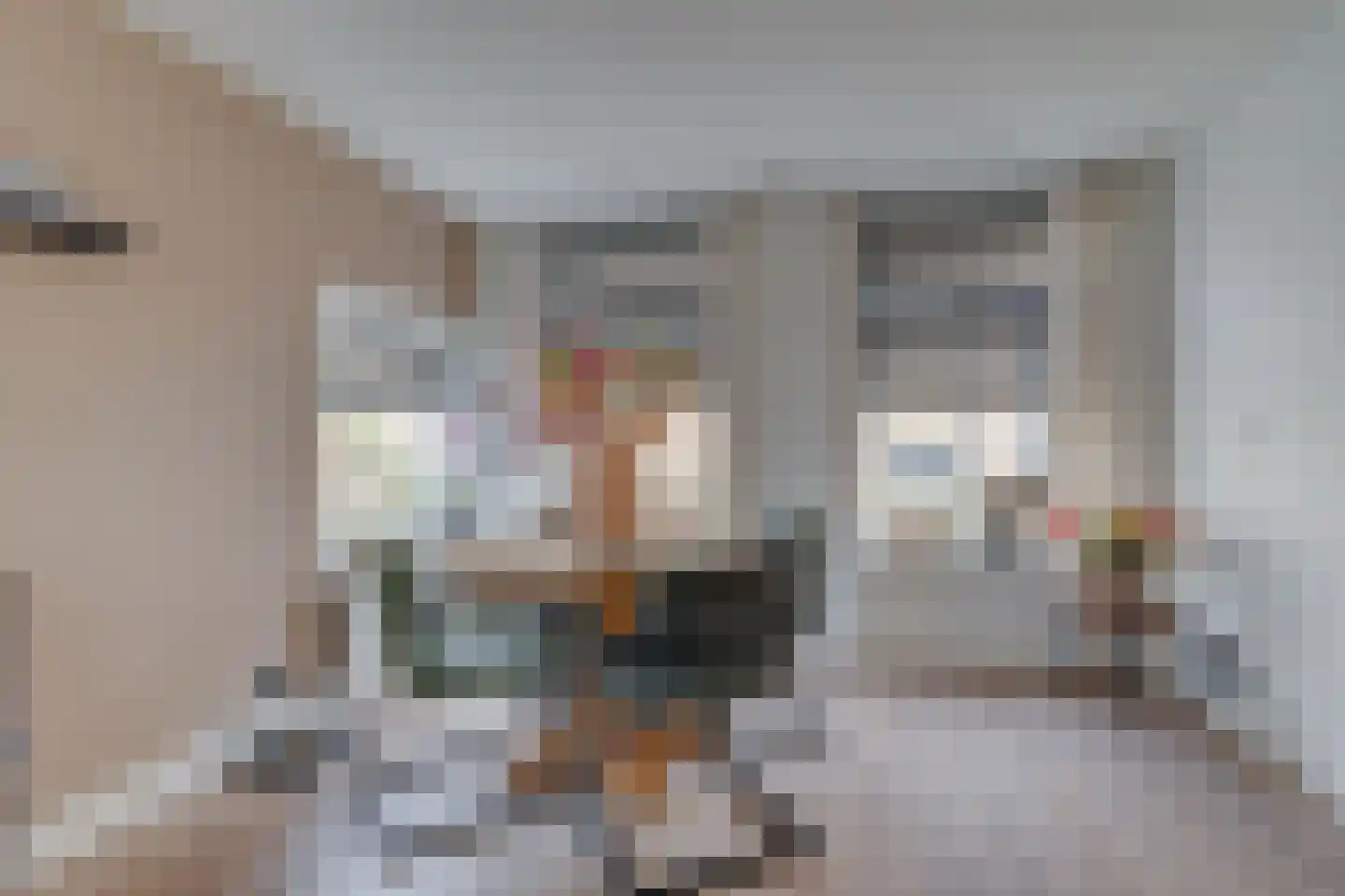 Brugweg 3 Waddinxveen thumbnail 8