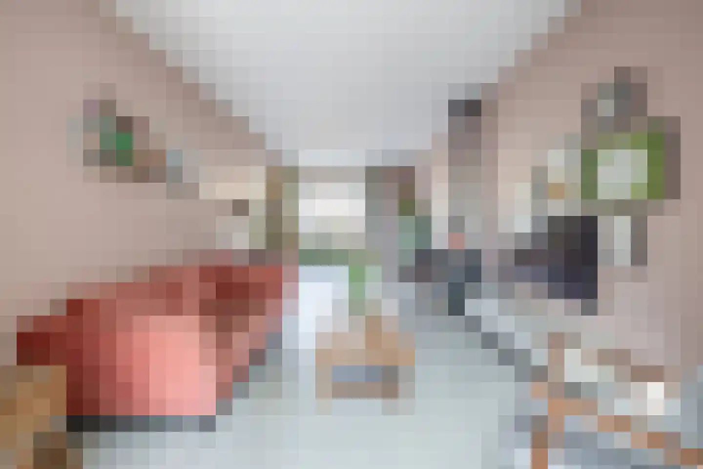 Brugweg 43 Waddinxveen thumbnail 10
