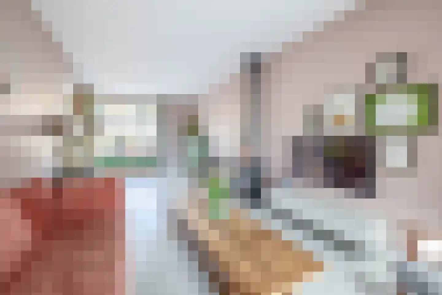 Brugweg 43 Waddinxveen thumbnail 11