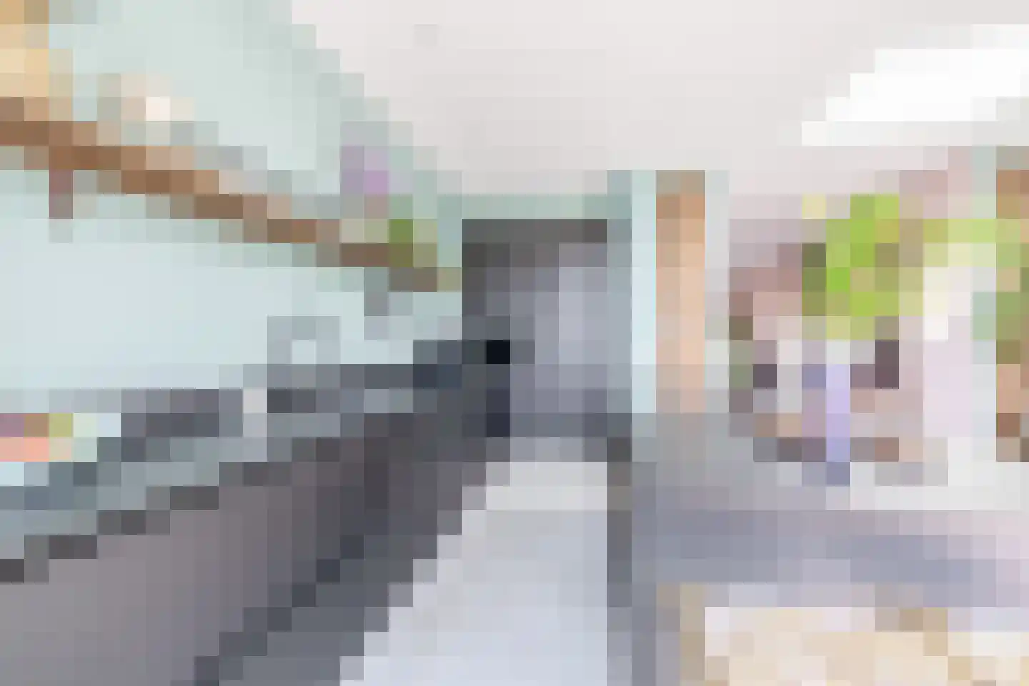 Brugweg 43 Waddinxveen thumbnail 18