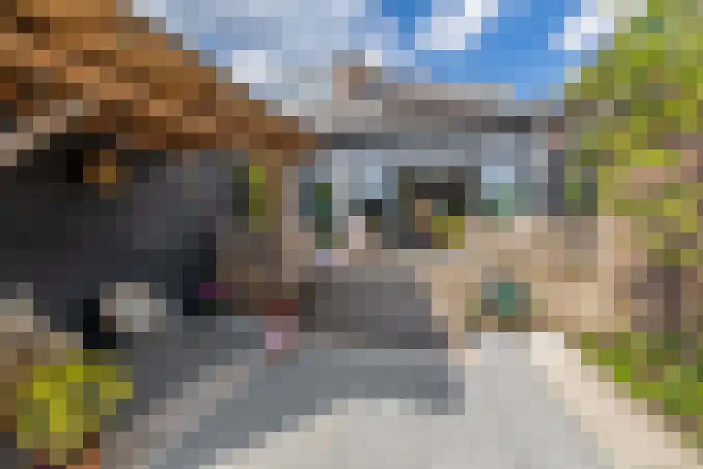 Brugweg 43 Waddinxveen thumbnail 31