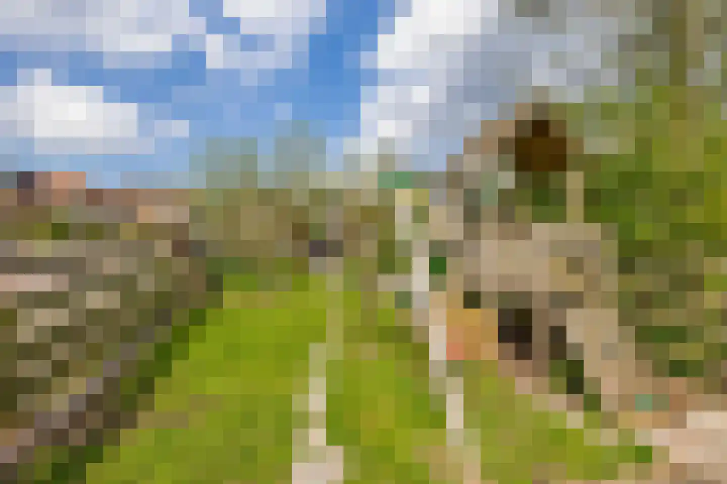 Brugweg 43 Waddinxveen thumbnail 33