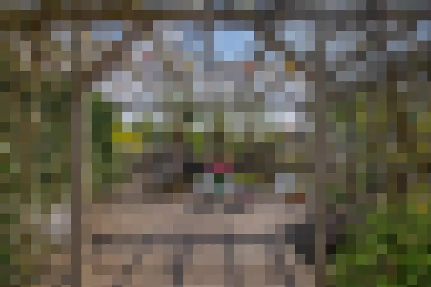 Brugweg 43 Waddinxveen thumbnail 36
