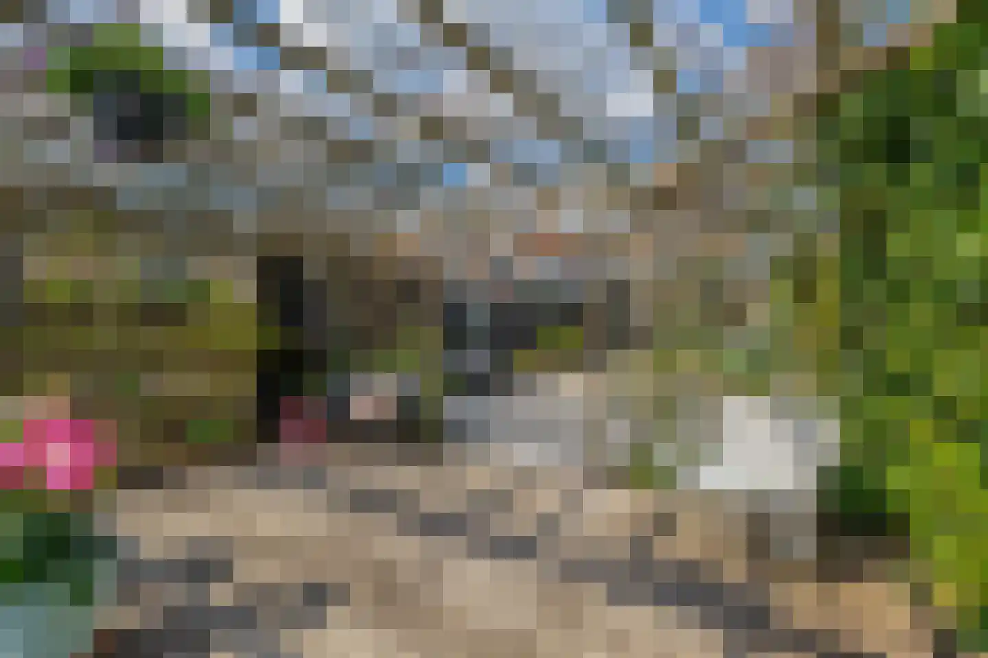 Brugweg 43 Waddinxveen thumbnail 37