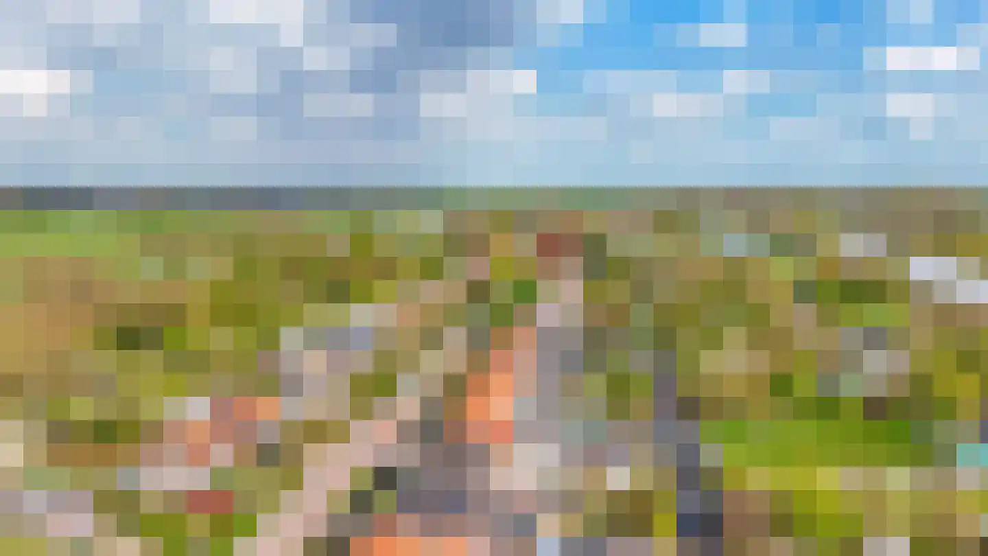 Brugweg 43 Waddinxveen thumbnail 41