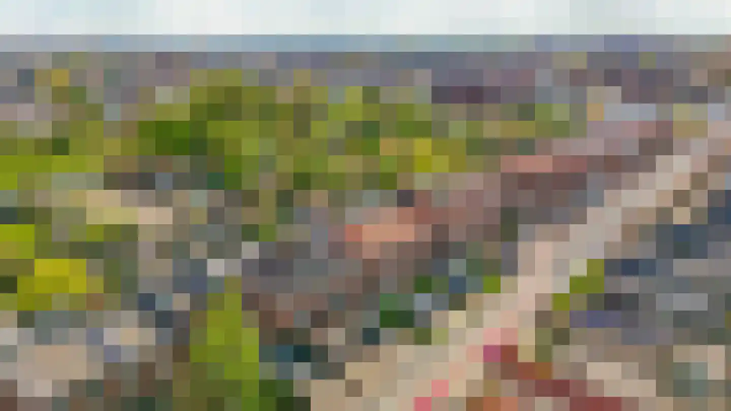 Brugweg 43 Waddinxveen thumbnail 44