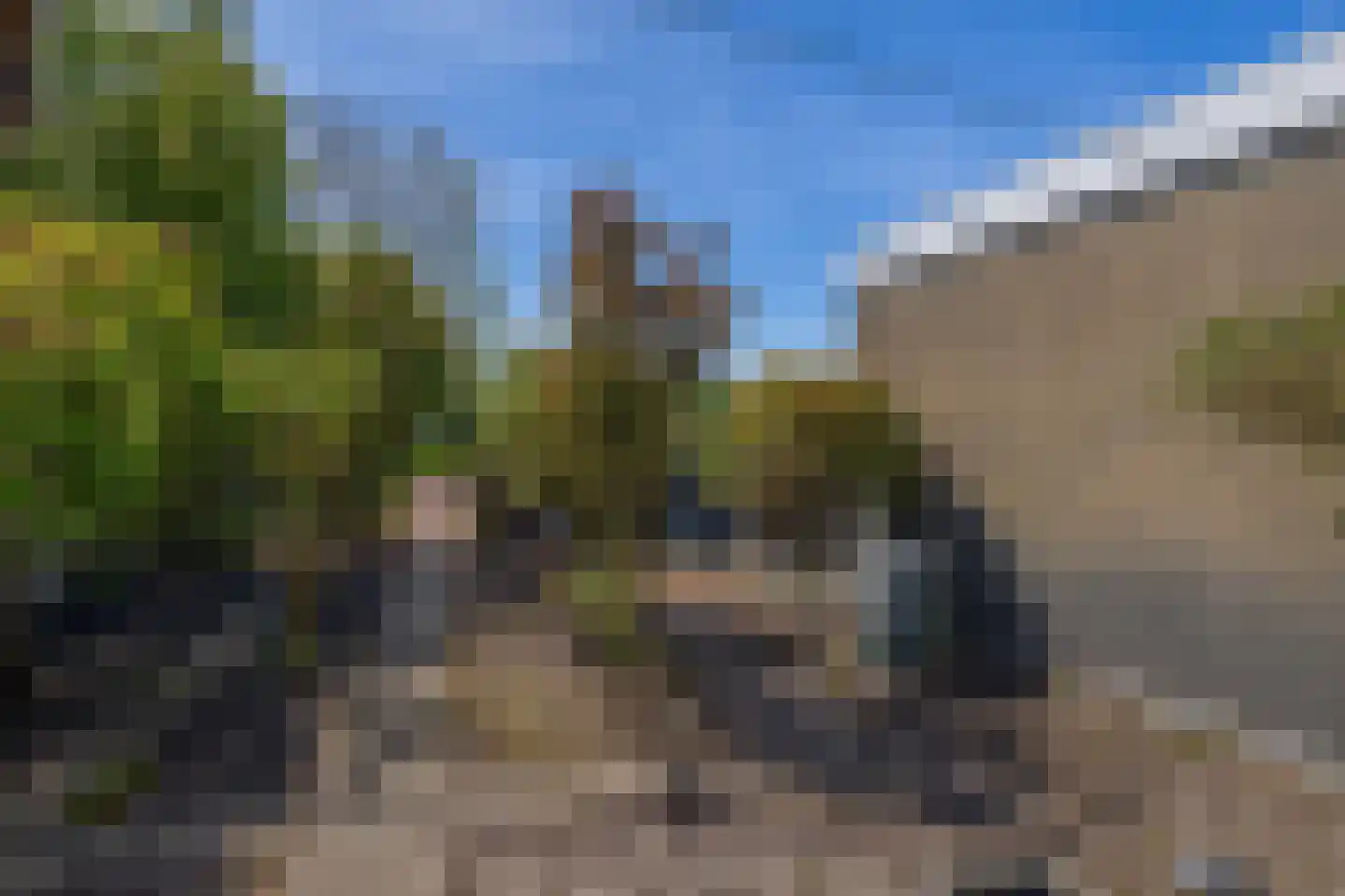 Brugweg 81 Waddinxveen thumbnail 27