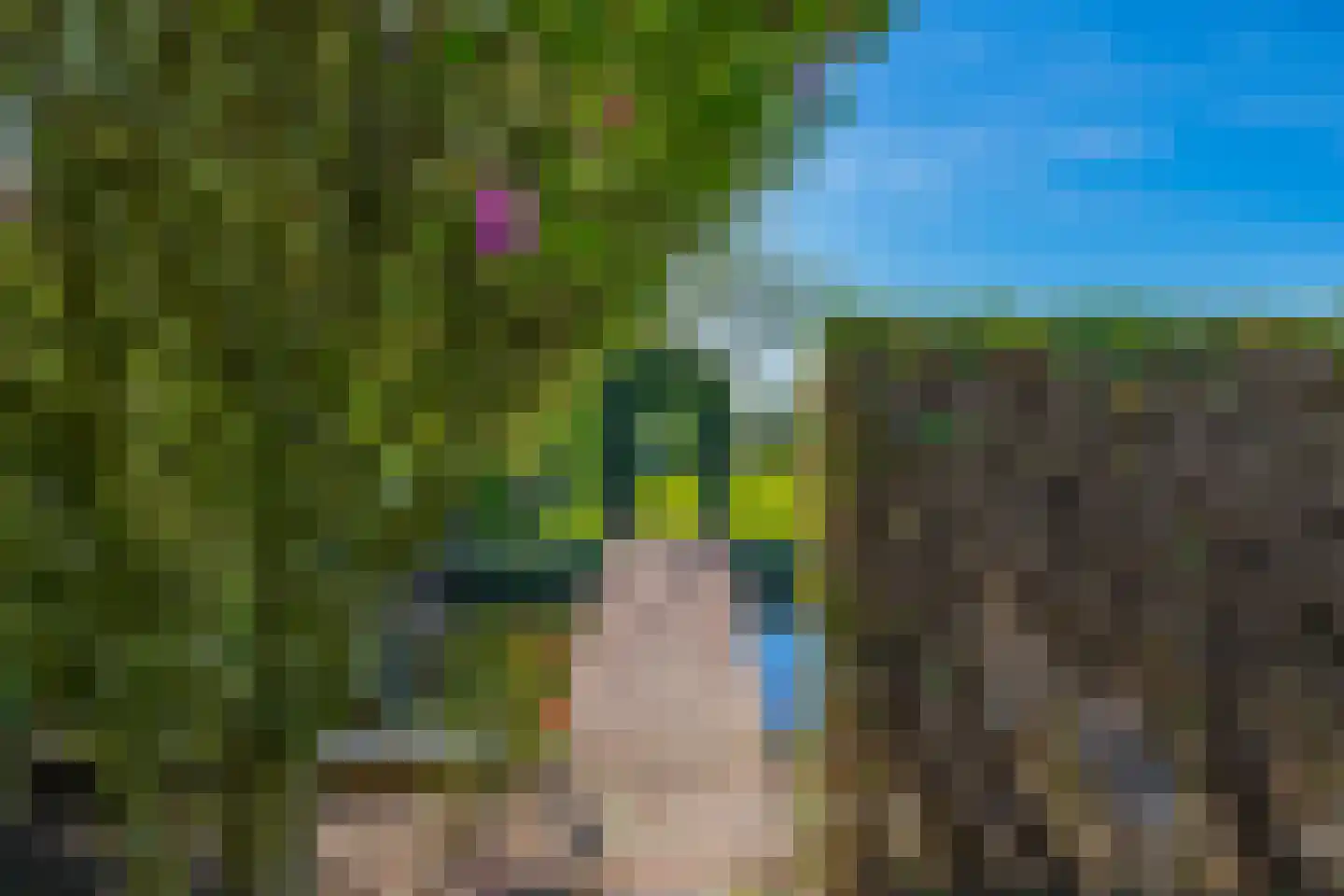 Brugweg 81 Waddinxveen thumbnail 30