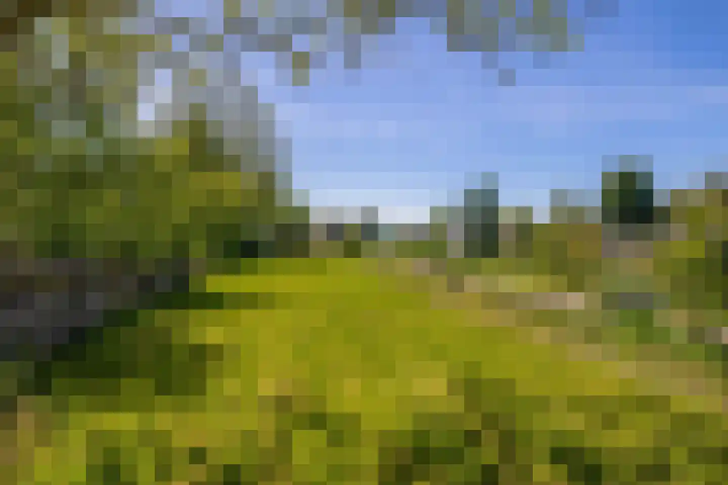 Brugweg 81 Waddinxveen thumbnail 31