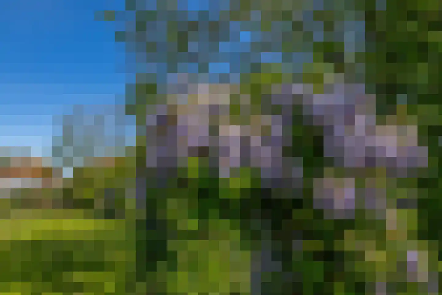 Brugweg 81 Waddinxveen thumbnail 33