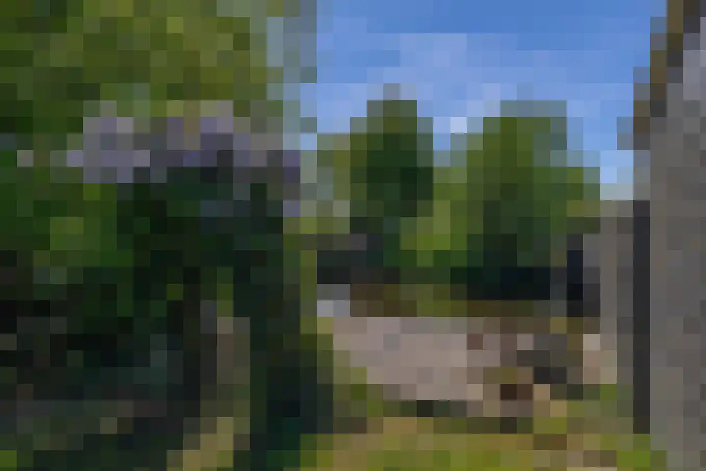 Brugweg 81 Waddinxveen thumbnail 34