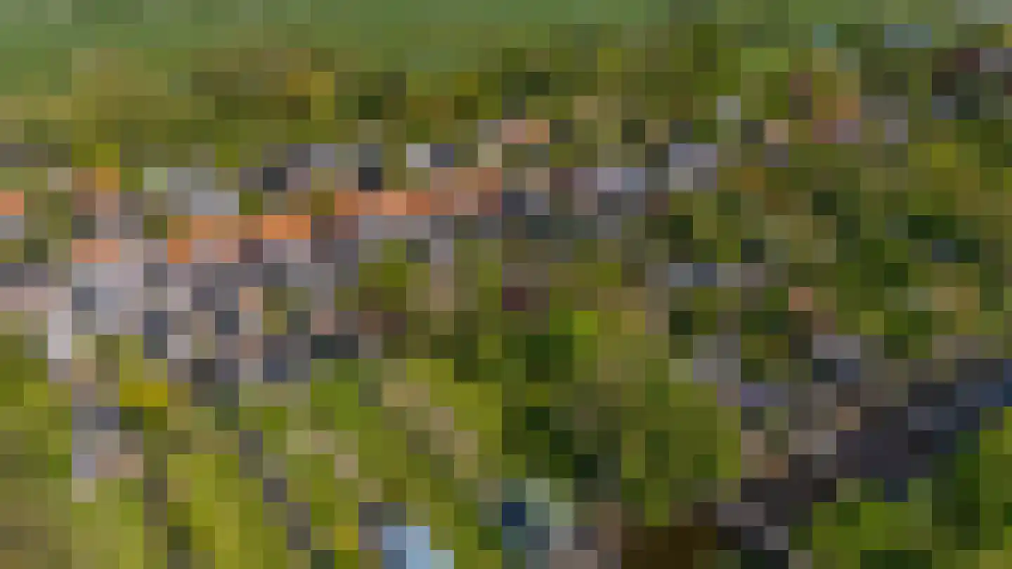 Brugweg 81 Waddinxveen thumbnail 6