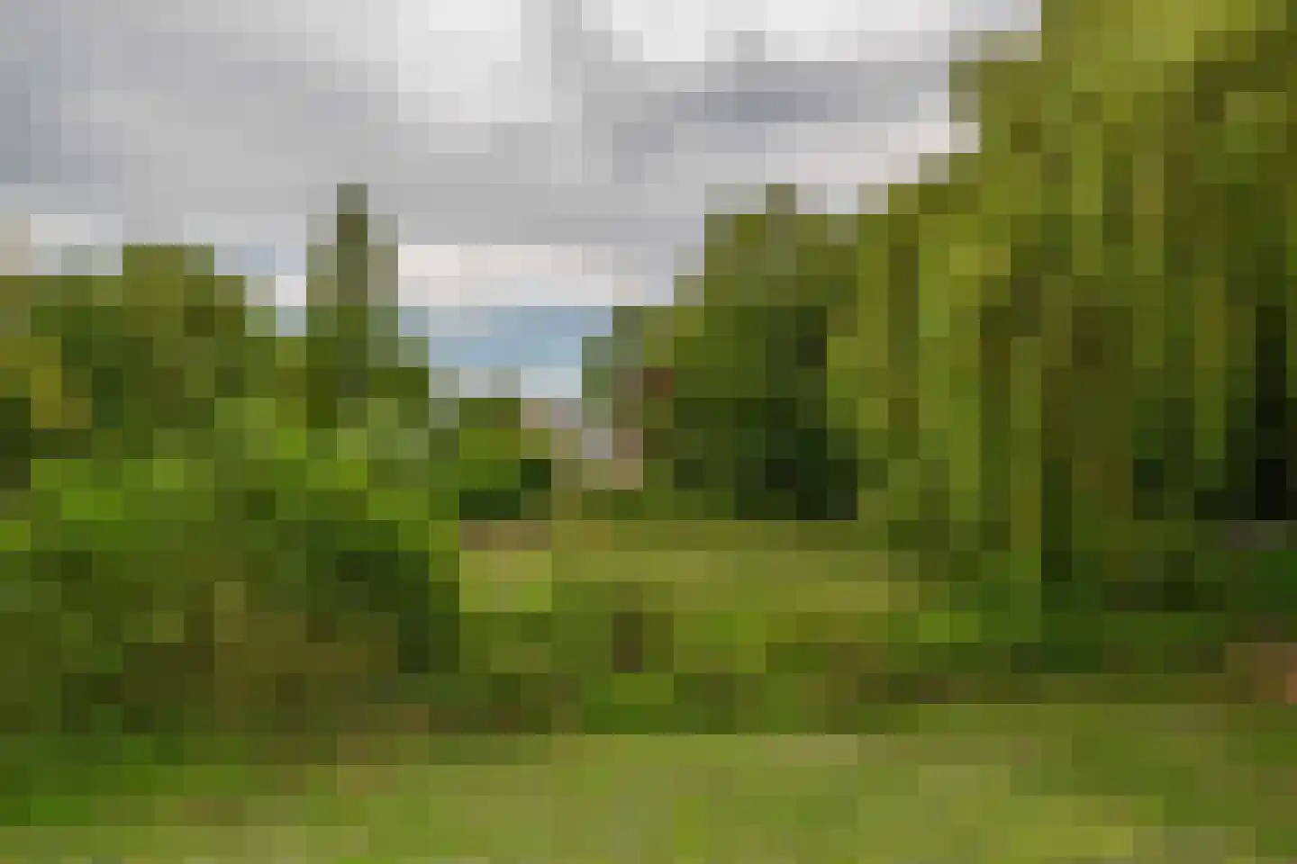 Brugweg 86 Waddinxveen thumbnail 19