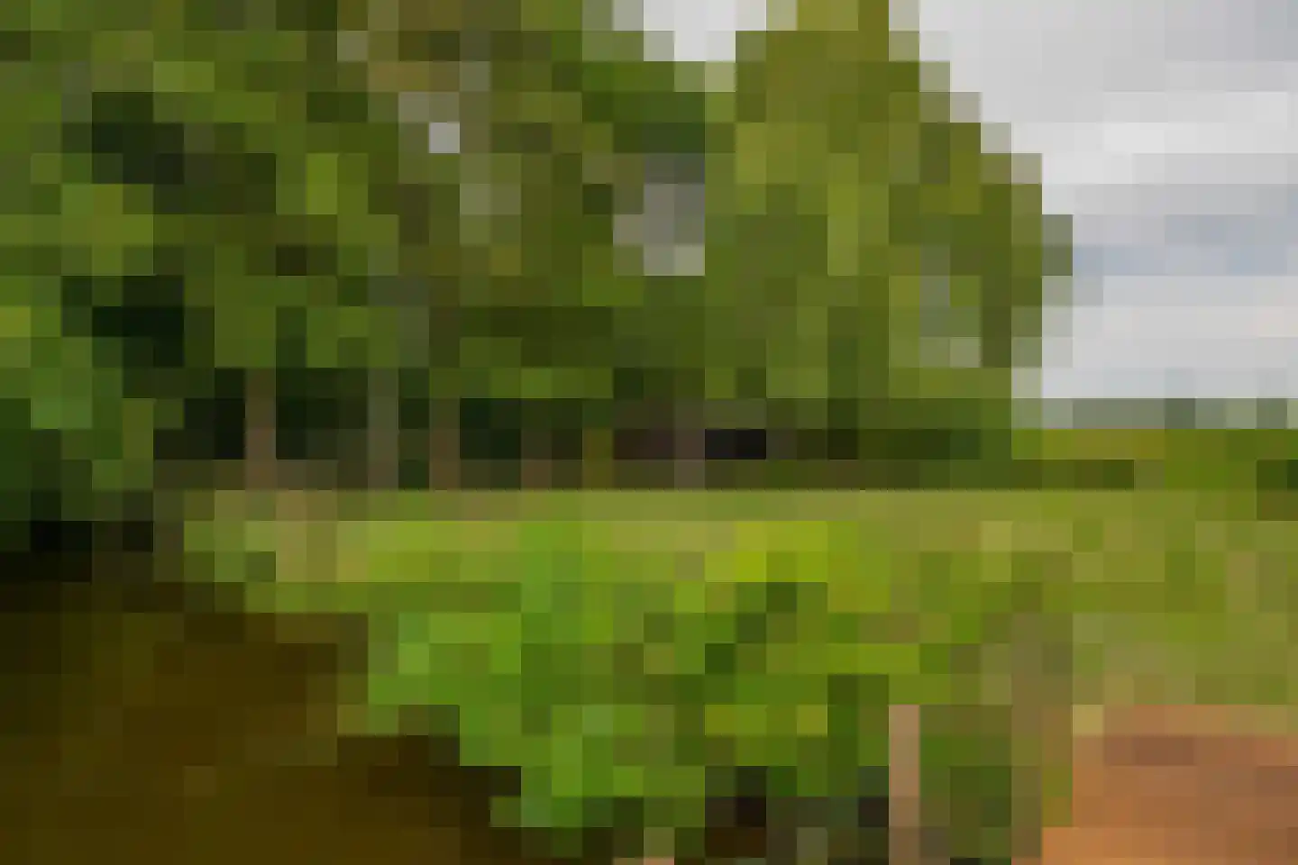 Brugweg 86 Waddinxveen thumbnail 20