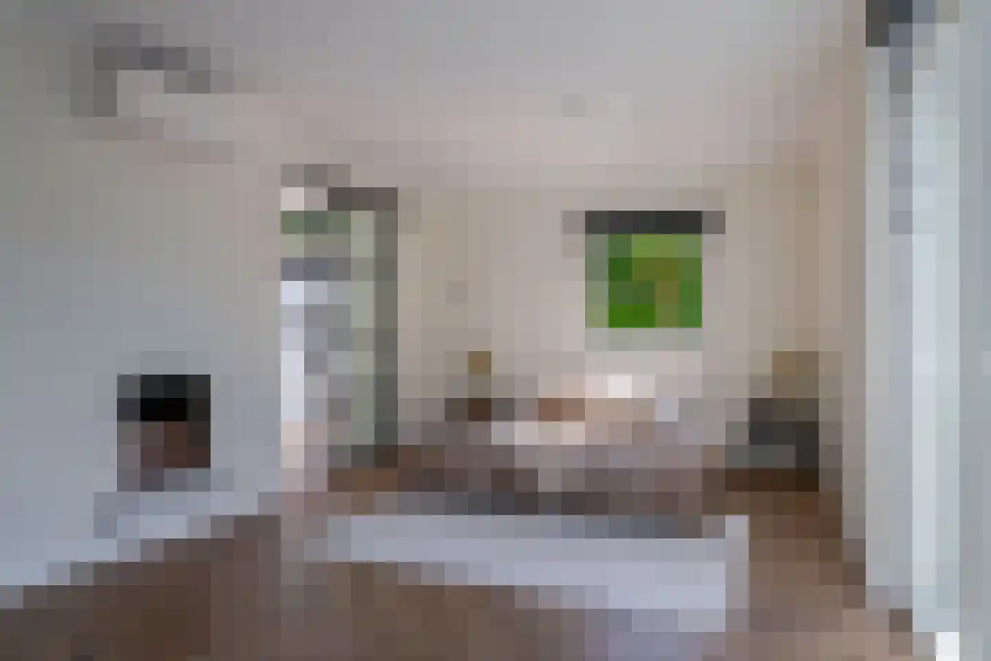 Brugweg 86 Waddinxveen thumbnail 21