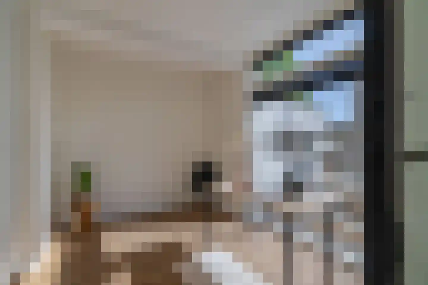 Brugweg 86 Waddinxveen thumbnail 23