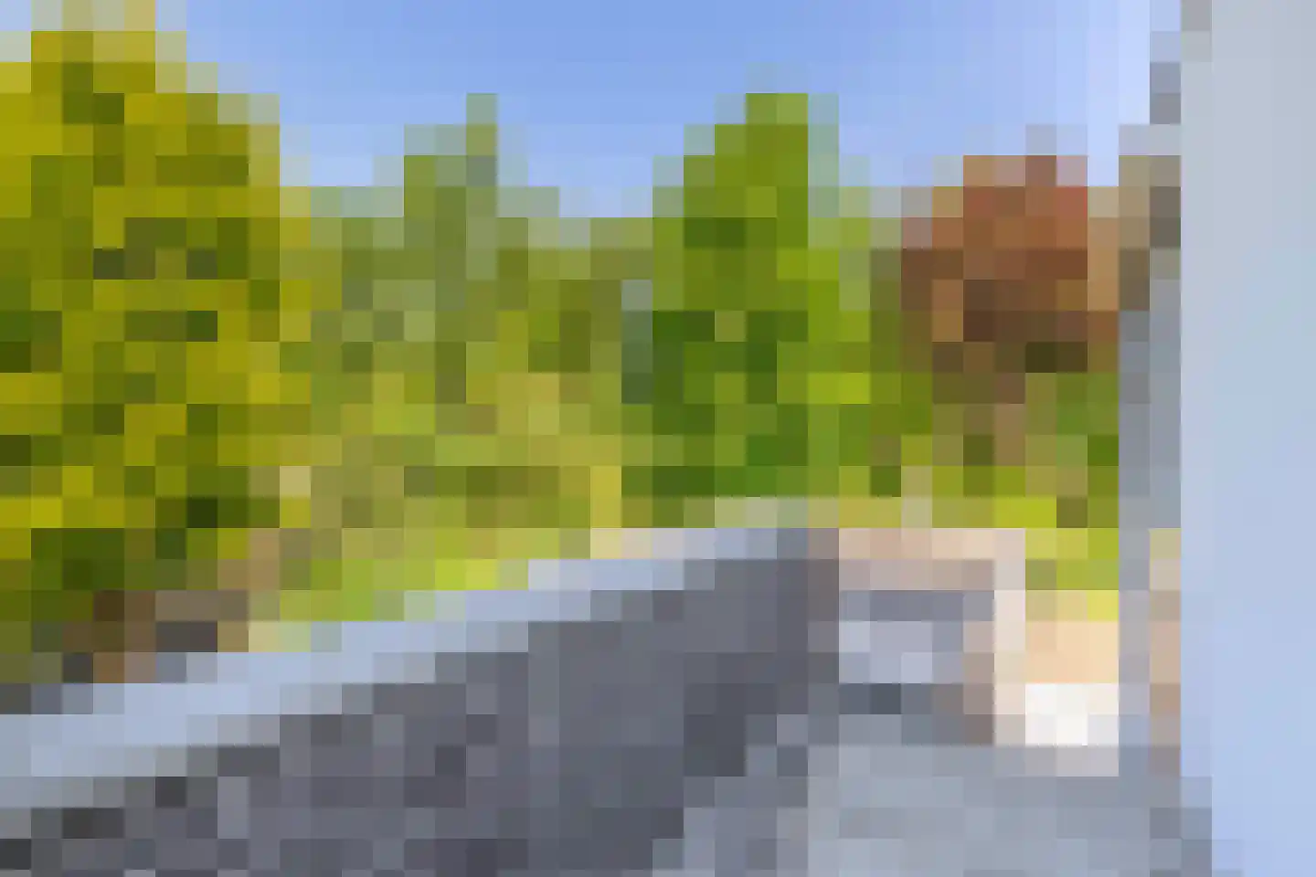 Brugweg 86 Waddinxveen thumbnail 33