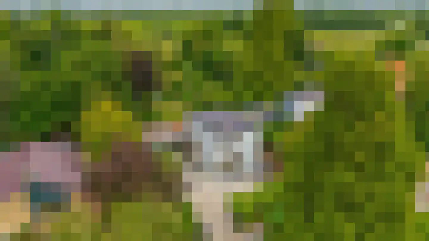 Brugweg 86 Waddinxveen thumbnail 35