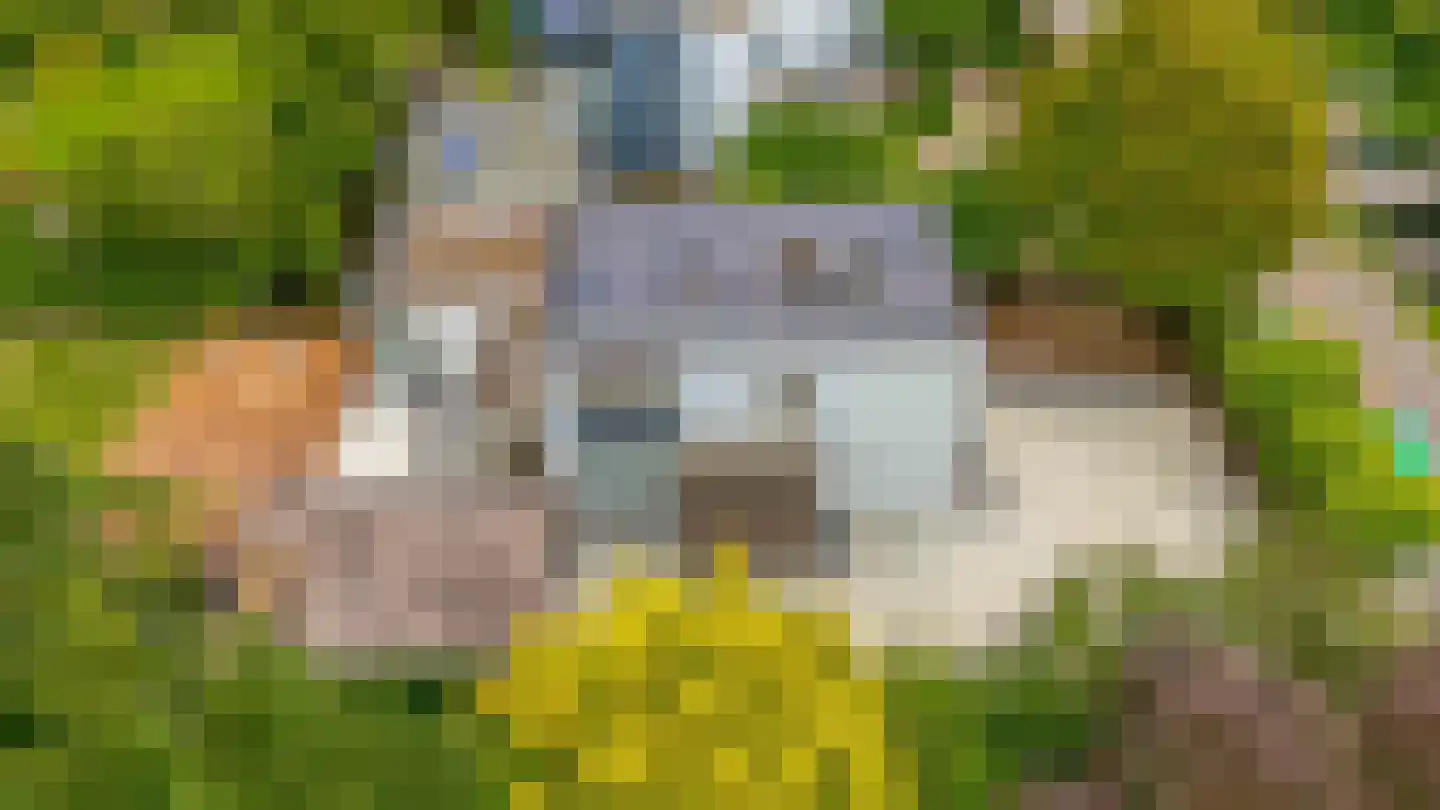 Brugweg 86 Waddinxveen thumbnail 36