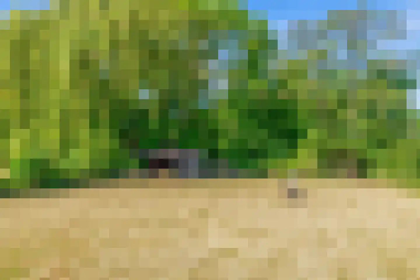 Brugweg 86 Waddinxveen thumbnail 37