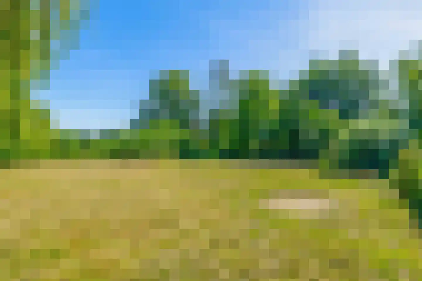 Brugweg 86 Waddinxveen thumbnail 38