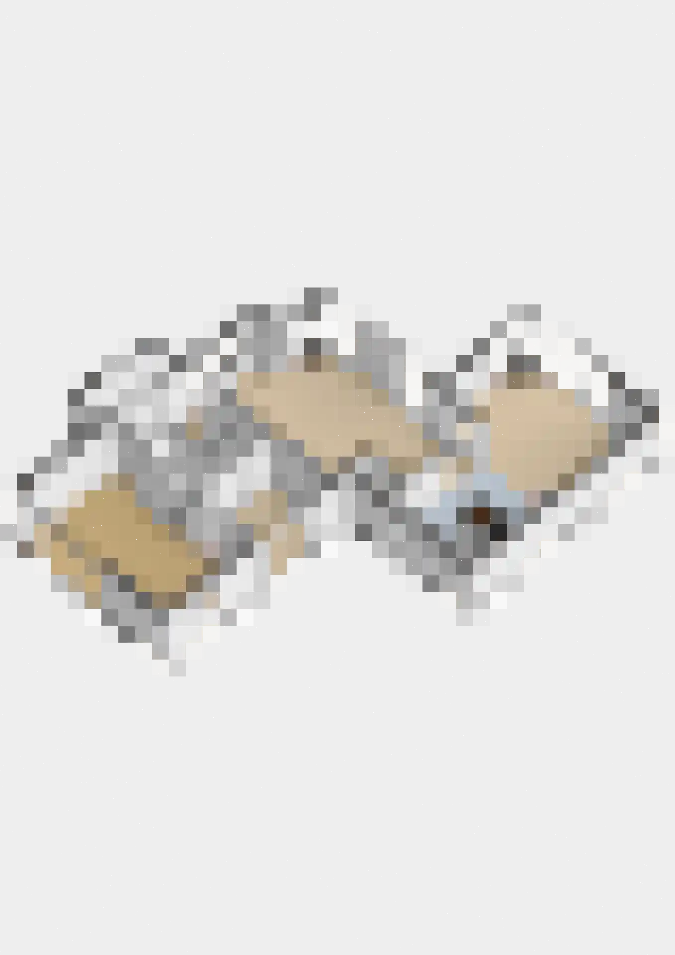 Brugweg 86 Waddinxveen thumbnail 48