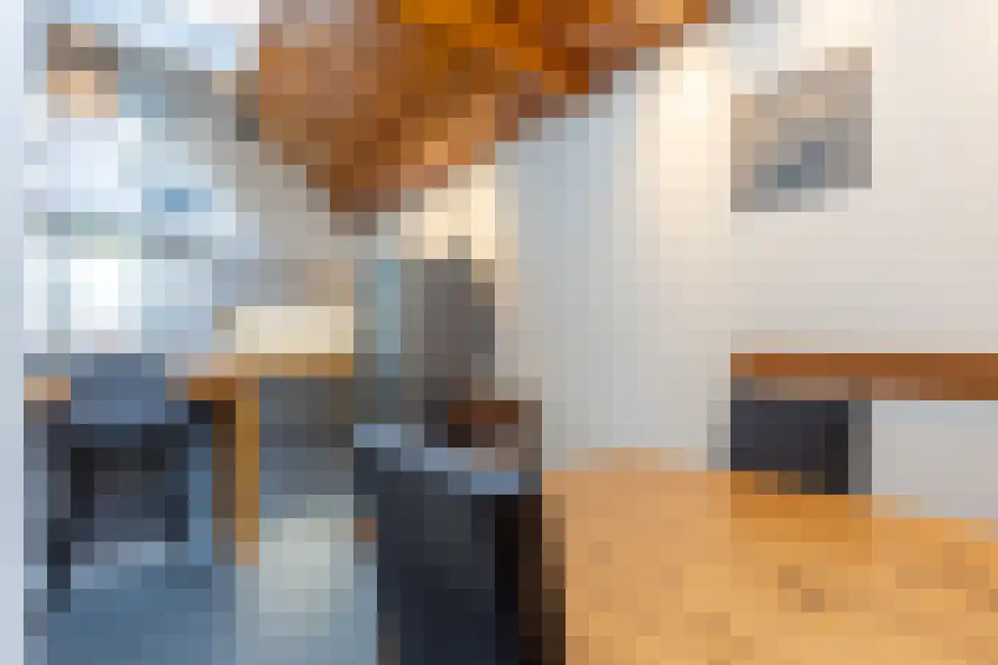 Brugweg 9 Echt thumbnail 15