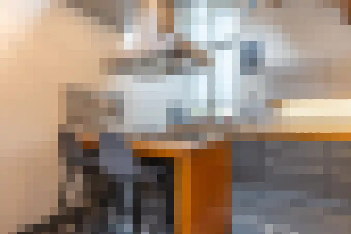 Brugweg 9 Echt thumbnail 16